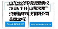 山东水投环境资源债权项目6个月(山东水发资源循环科技有限公司是国企吗)