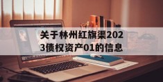 关于林州红旗渠2023债权资产01的信息