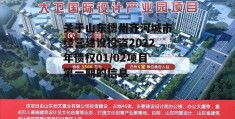 关于山东德州齐河城市经营建设投资2022年债权01/02项目第一期的信息