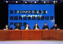 关于2022年金乡金源国有资本政信债权资产的信息