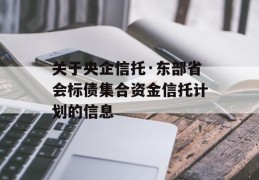 关于央企信托·东部省会标债集合资金信托计划的信息