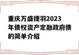 重庆万盛捷羽2023年债权资产定融政府债的简单介绍