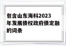 包含山东海科2023年发展债权政府债定融的词条