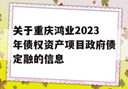 关于重庆鸿业2023年债权资产项目政府债定融的信息