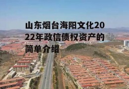 山东烟台海阳文化2022年政信债权资产的简单介绍