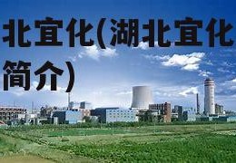 湖北宜化(湖北宜化公司简介)