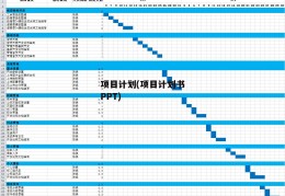 项目计划(项目计划书PPT)