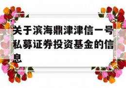 关于滨海鼎津津信一号私募证券投资基金的信息