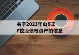 关于2023年山东ZF控股债权资产的信息