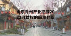 山东青州产业控股2022收益权的简单介绍