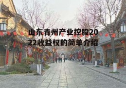 山东青州产业控股2022收益权的简单介绍