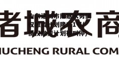 山东诸城市隆嘉水务债权融资计划隆兴1号(债权融资计划被叫停)