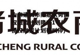 山东诸城市隆嘉水务债权融资计划隆兴1号(债权融资计划被叫停)