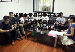 成都金堂县兴金开发建设投资债权收益权转让项目【六】的简单介绍