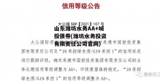 山东潍坊水务AA+城投债券(潍坊水务投资有限责任公司官网)