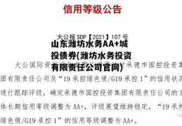 山东潍坊水务AA+城投债券(潍坊水务投资有限责任公司官网)