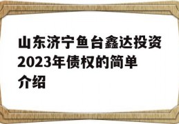 山东济宁鱼台鑫达投资2023年债权的简单介绍