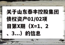 关于山东泰丰控股集团债权资产01/02项目第X期（X=1、2、3...）的信息