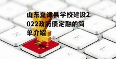 山东夏津县学校建设2022政府债定融的简单介绍