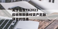 关于山东TA2023应收账款债权资产定融项目的信息