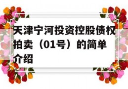 天津宁河投资控股债权拍卖（01号）的简单介绍