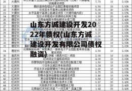 山东方诚建设开发2022年债权(山东方诚建设开发有限公司债权融资)