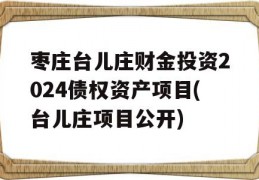 枣庄台儿庄财金投资2024债权资产项目(台儿庄项目公开)