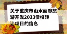 关于重庆市山水画廊旅游开发2023债权转让项目的信息
