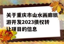 关于重庆市山水画廊旅游开发2023债权转让项目的信息