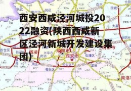 西安西咸泾河城投2022融资(陕西西咸新区泾河新城开发建设集团)