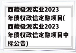 西藏极源实业2023年债权政信定融项目(西藏极源实业2023年债权政信定融项目中标公告)