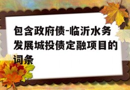 包含政府债-临沂水务发展城投债定融项目的词条