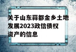 关于山东蒜都金乡土地发展2023政信债权资产的信息