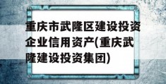 重庆市武隆区建设投资企业信用资产(重庆武隆建设投资集团)