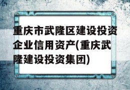 重庆市武隆区建设投资企业信用资产(重庆武隆建设投资集团)