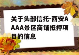 关于头部信托-西安AAAA景区商铺抵押项目的信息