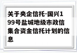 关于央企信托-国兴199号盐城地级市政信集合资金信托计划的信息