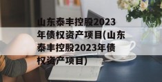 山东泰丰控股2023年债权资产项目(山东泰丰控股2023年债权资产项目)