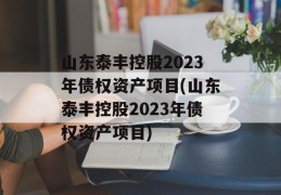 山东泰丰控股2023年债权资产项目(山东泰丰控股2023年债权资产项目)