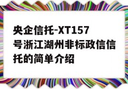 央企信托-XT157号浙江湖州非标政信信托的简单介绍