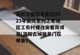 洛阳古都丽景集团2023年债权系列之老城区工农村棚改安置房项目(洛阳古城丽景门在哪里)