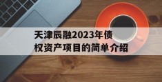 天津辰融2023年债权资产项目的简单介绍