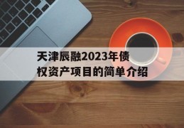 天津辰融2023年债权资产项目的简单介绍