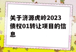 关于济源虎岭2023债权01转让项目的信息