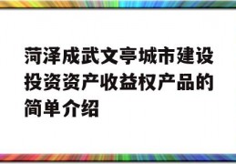 菏泽成武文亭城市建设投资资产收益权产品的简单介绍