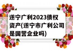 遂宁广利2023债权资产(遂宁市广利公司是国营企业吗)