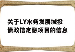 关于LY水务发展城投债政信定融项目的信息