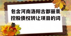 包含河南洛阳古都丽景控股债权转让项目的词条