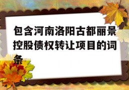 包含河南洛阳古都丽景控股债权转让项目的词条