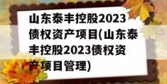 山东泰丰控股2023债权资产项目(山东泰丰控股2023债权资产项目管理)